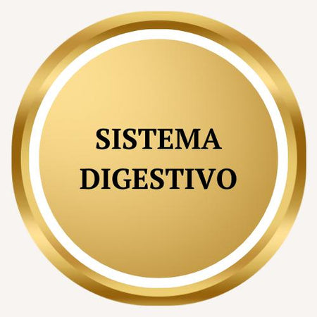 Sistema Digestivo